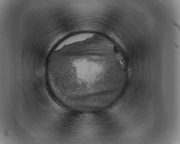 X0000091340444200708311459