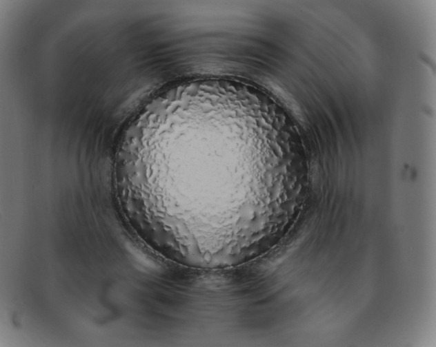 X0000091340445200708311459