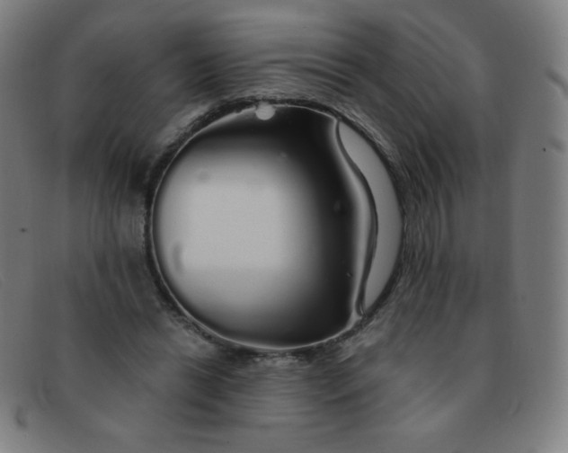 X0000091340446200708311459