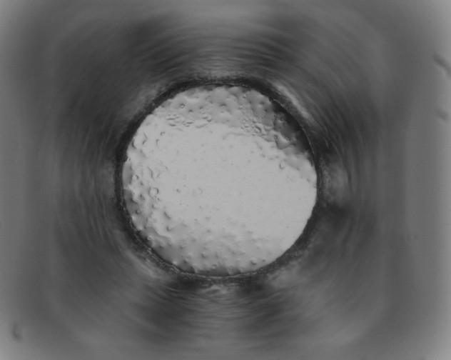 X0000091340447200708311459