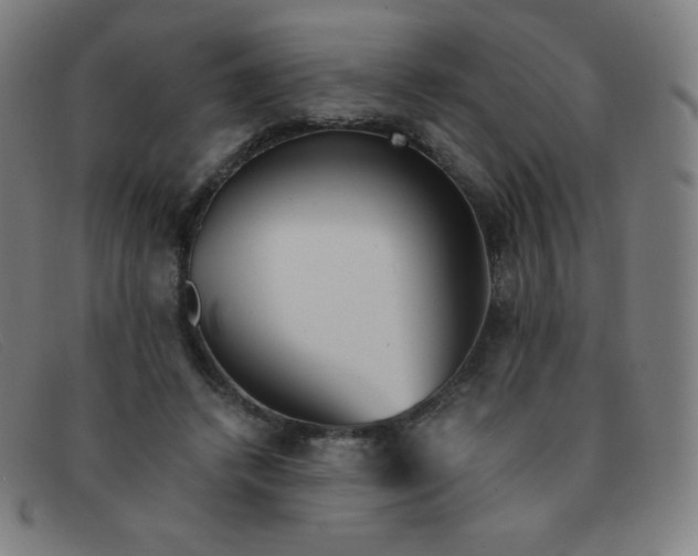 X0000091340448200708311459