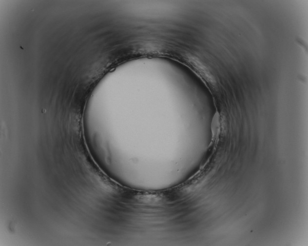 X0000091340449200708311459