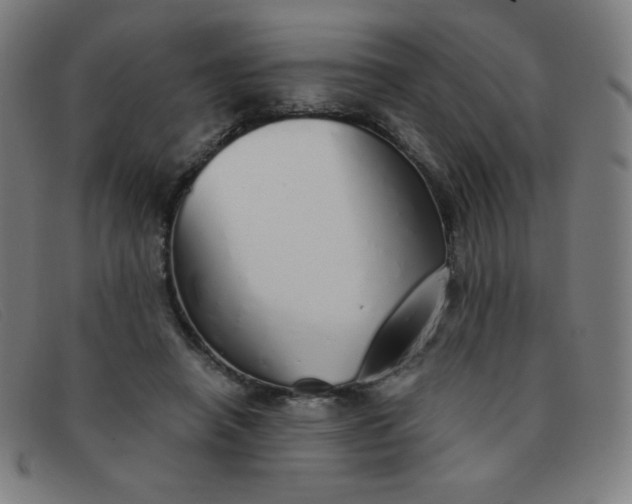 X0000091340450200708311459