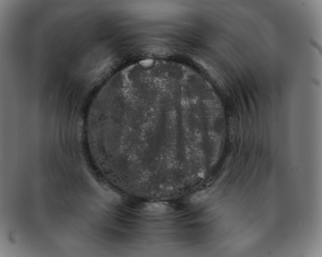 X0000091340451200708311459