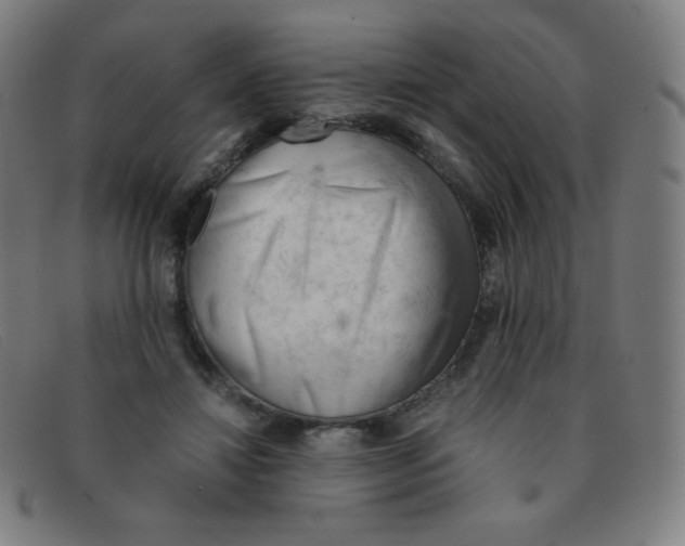 X0000091340452200708311459