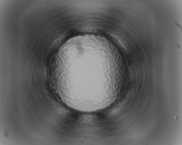 X0000091340453200708311459