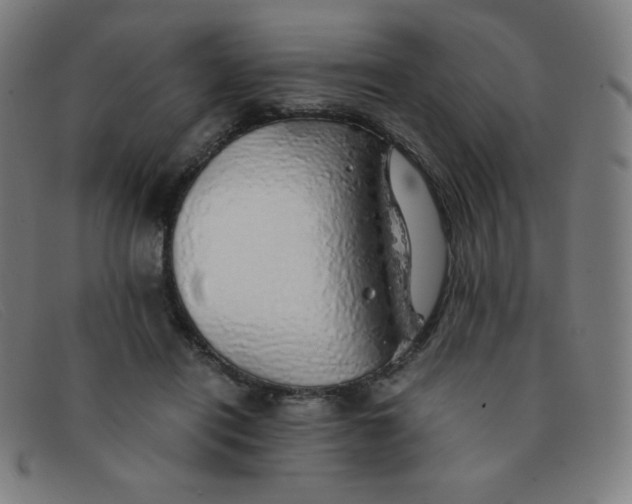 X0000091340454200708311459