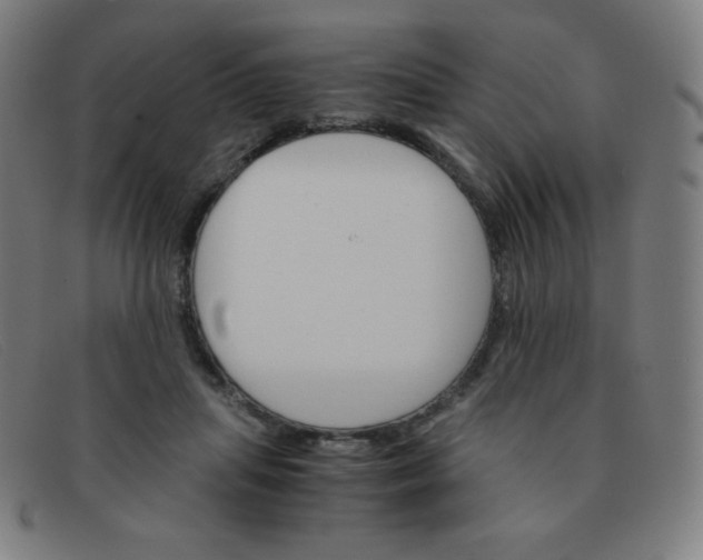 X0000091340455200708311459