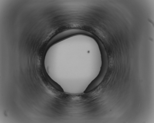 X0000091340456200708311459