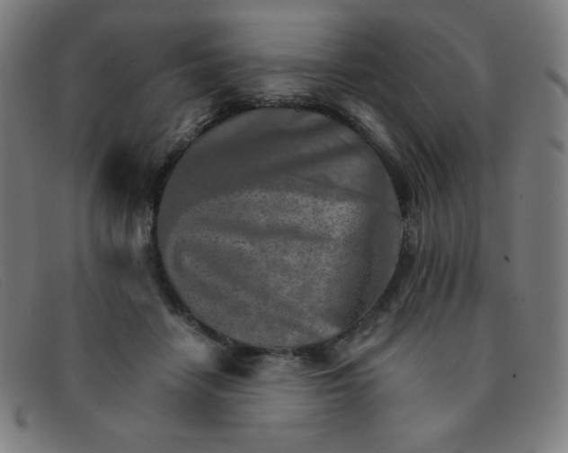 X0000091340458200708311459