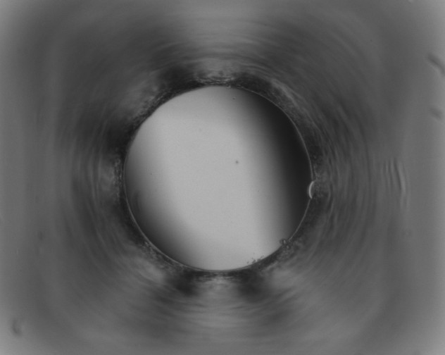 X0000091340460200708311459