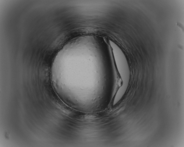 X0000091340462200708311459