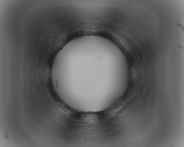 X0000091340463200708311500