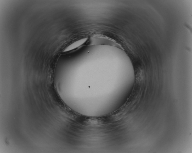 X0000091340464200708311500