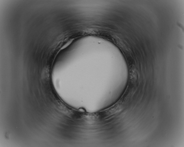 X0000091340466200708311500