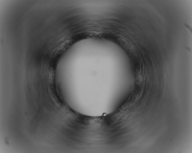 X0000091340468200708311500