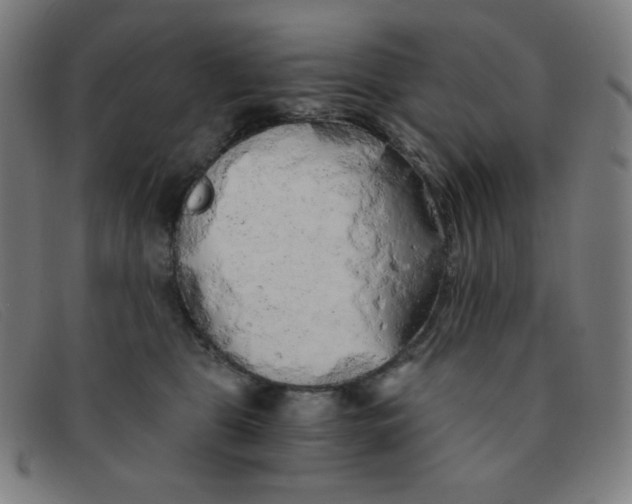 X0000091340469200708311500