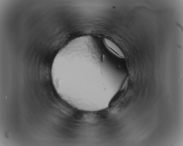 X0000091340470200708311500