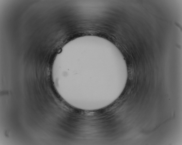 X0000091340472200708311500