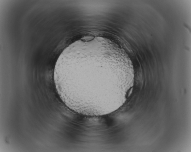 X0000091340473200708311500