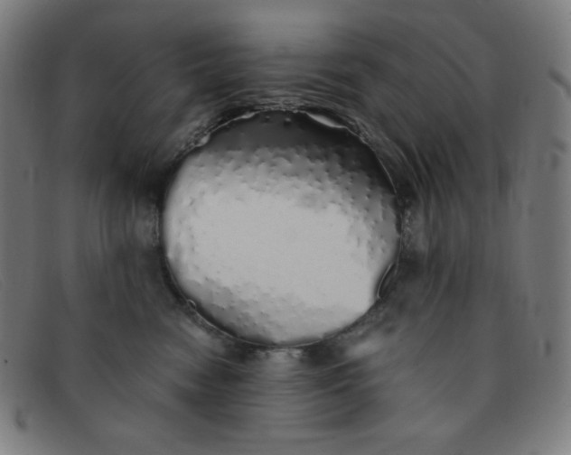 X0000091340474200708311500