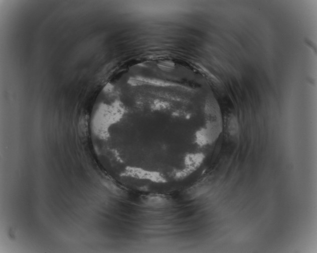 X0000091340475200708311500