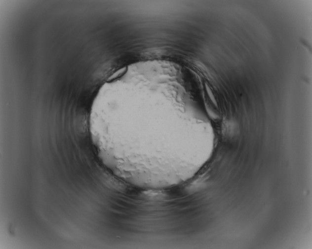 X0000091340477200708311500