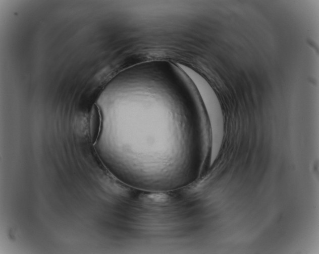 X0000091340478200708311500