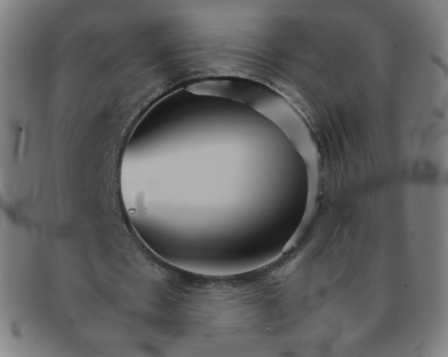 X0000091340481200708311459