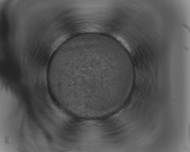 X0000091340482200708311459