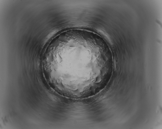 X0000091340483200708311459