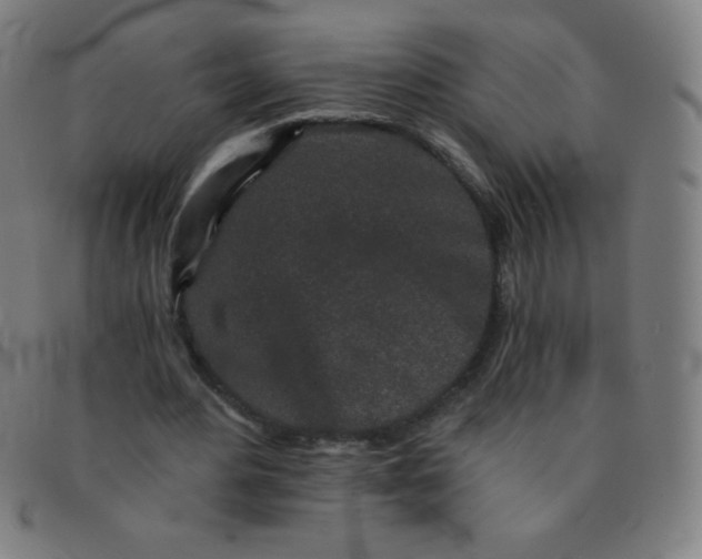 X0000091340484200708311459