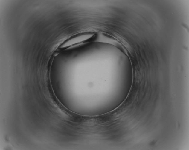 X0000091340485200708311459