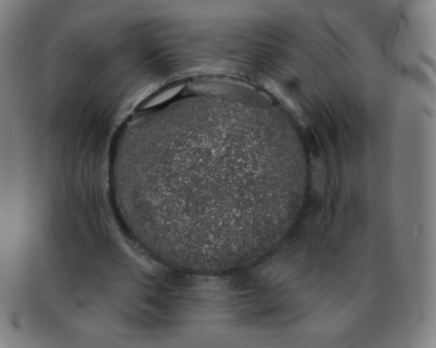 X0000091340486200708311459