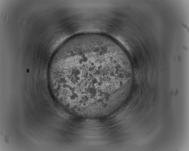 X0000091340487200708311459