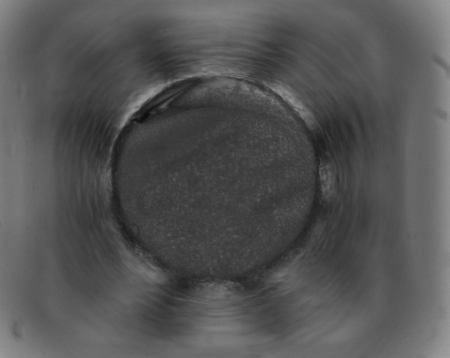 X0000091340488200708311459