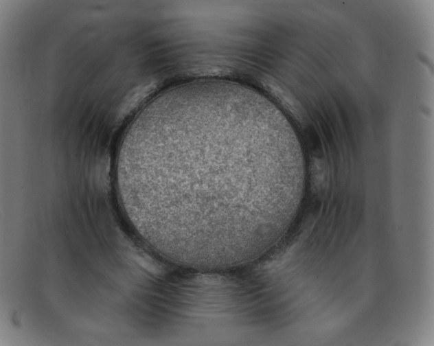 X0000091340490200708311459