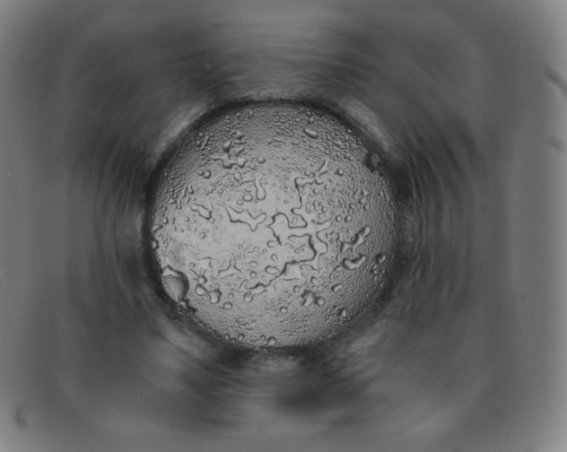 X0000091340491200708311459