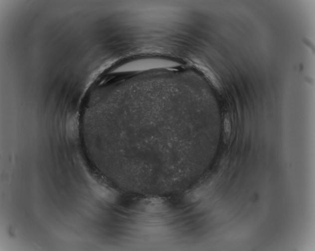 X0000091340492200708311459