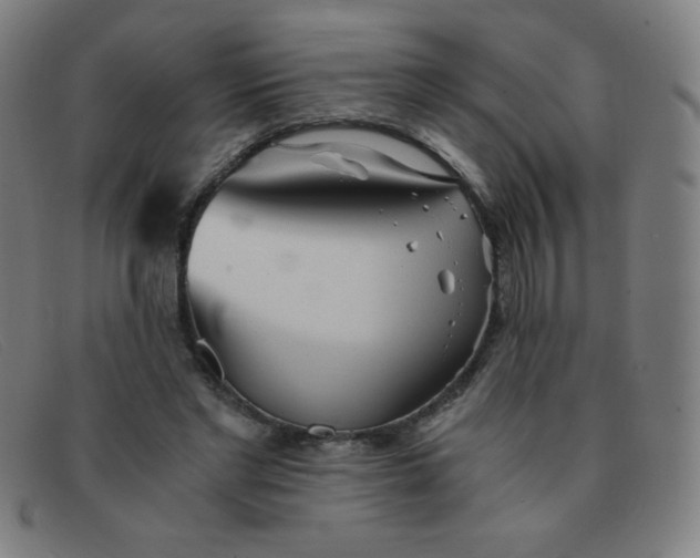 X0000091340493200708311459