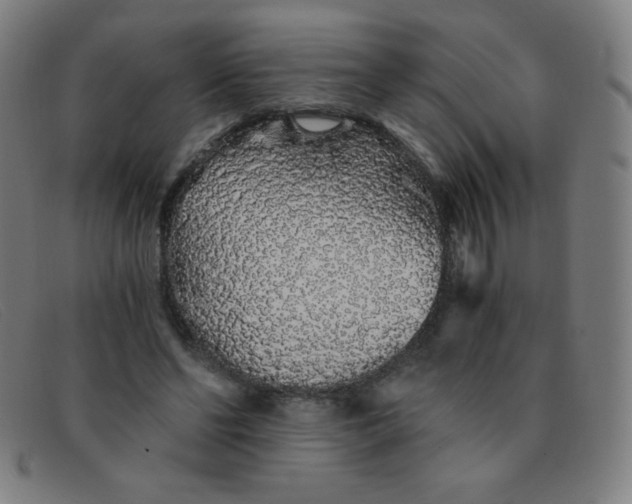 X0000091340494200708311459