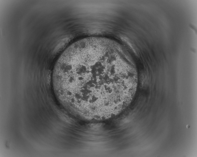 X0000091340495200708311459