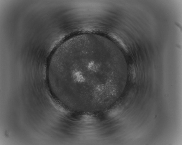 X0000091340496200708311459