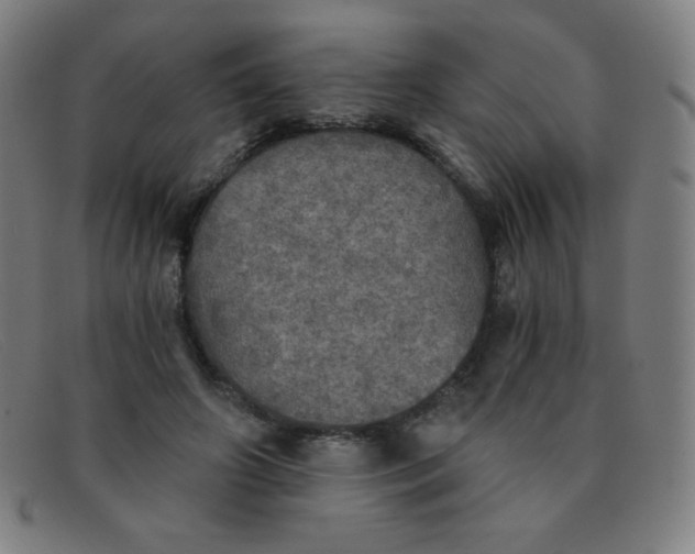 X0000091340498200708311459