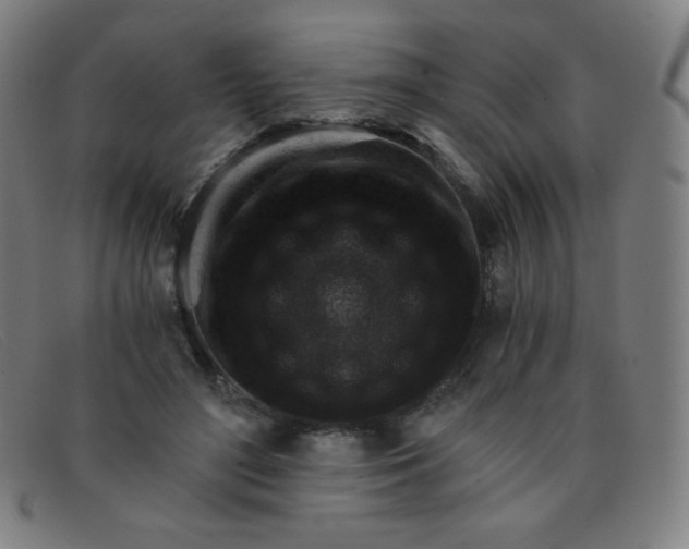 X0000091340500200708311459