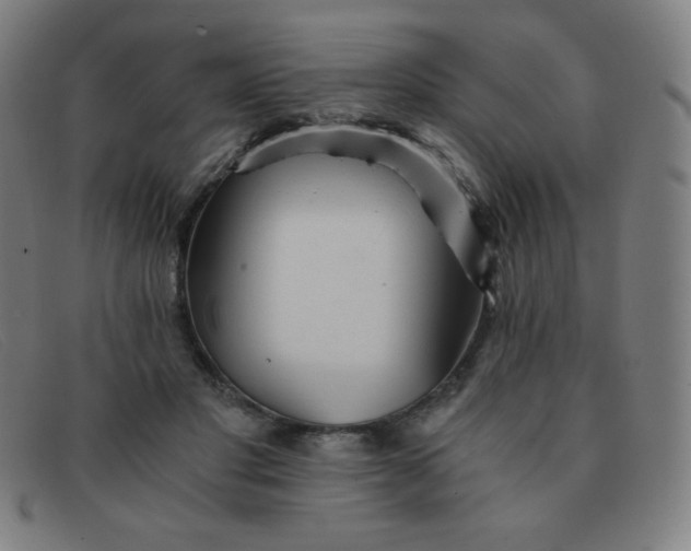 X0000091340501200708311459