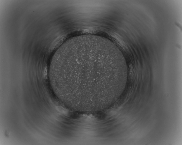 X0000091340502200708311459