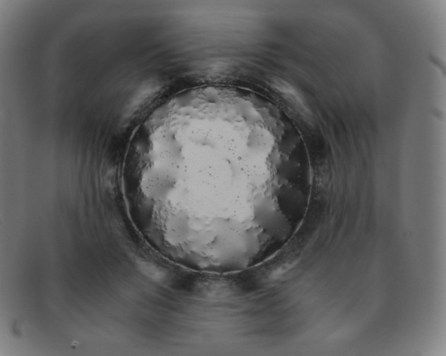 X0000091340503200708311459