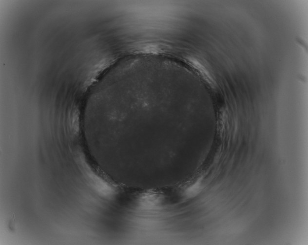 X0000091340504200708311459