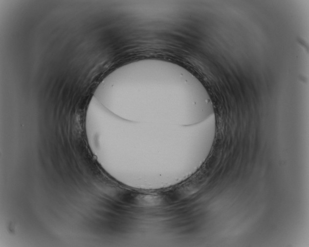 X0000091340506200708311459